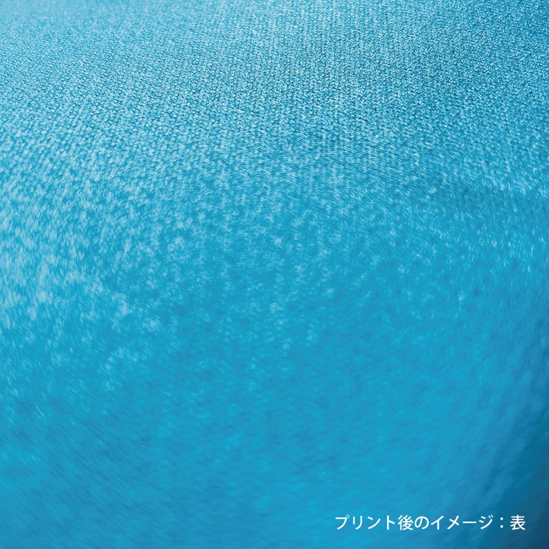 【1枚から製作可能】デザインリバーシブルビブス