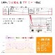 【再入荷】100％完全遮光 日傘/雨傘/晴雨兼用傘 竹製ハンドル バンブーハンドル フリルショート傘 親骨50cm