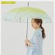 【宮下和コラボ】 半透明 ジャンプ傘 雨傘