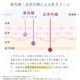 【2025新作】【軽量折りたたみ傘】 100％完全遮光 日傘/雨傘/晴雨兼用傘 折りたたみ傘 uchimizu(ウチミズ) プリント(オーナメント柄/ダマスク柄/リーフ柄/ドットフラワー柄) 親骨50cm