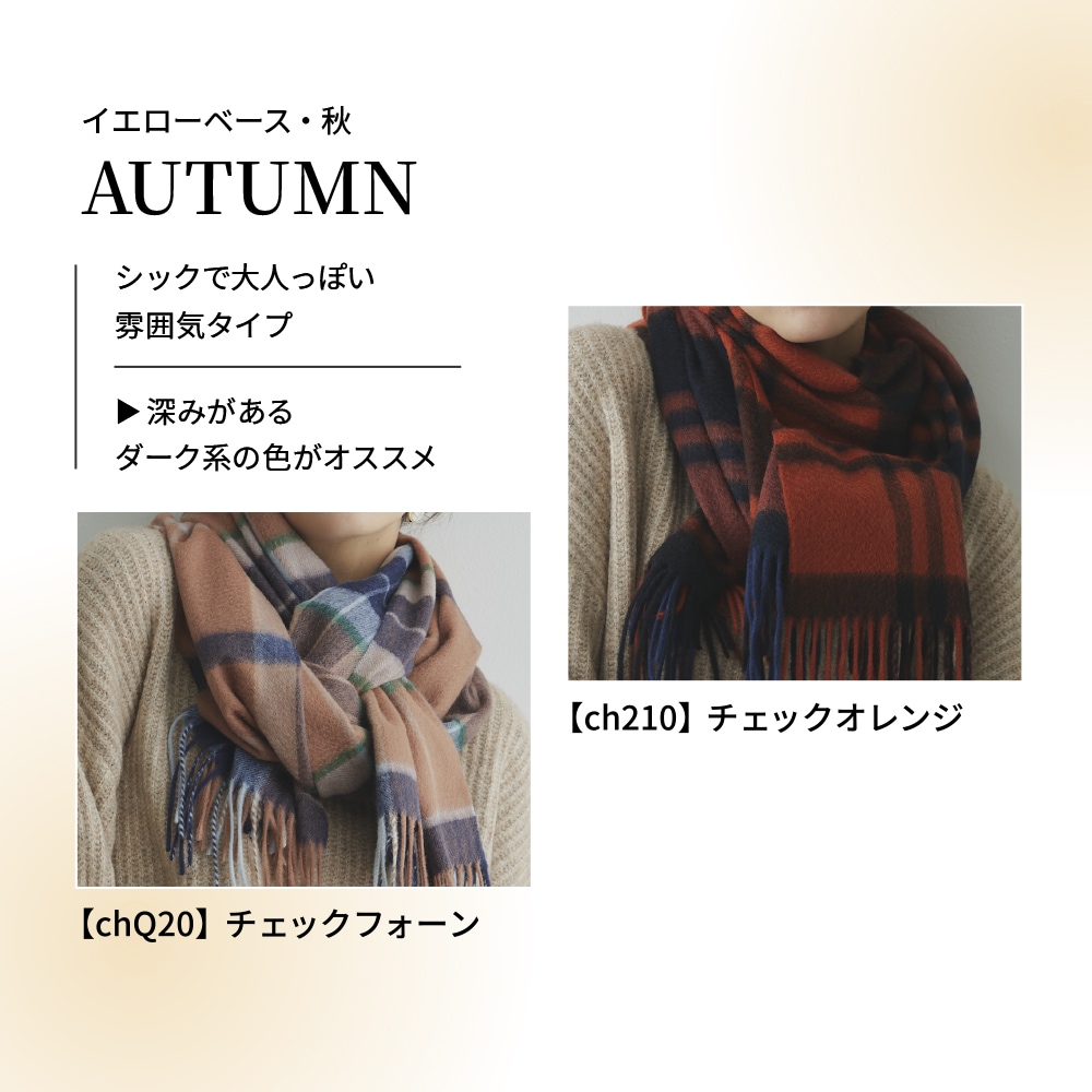 予約分10月上旬入荷予定】【2025新色】カシミヤストール