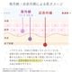 【再入荷】【新色追加】【軽量折りたたみ傘】 100％完全遮光 日傘/雨傘/晴雨兼用傘 折りたたみ傘 uchimizu(ウチミズ) 切替 親骨50cm