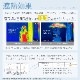 【軽量折りたたみ傘】 100％完全遮光 日傘/雨傘/晴雨兼用傘 折りたたみ傘 uchimizu(ウチミズ) 切替 親骨50cm