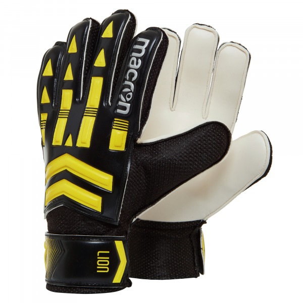 LION XF GK