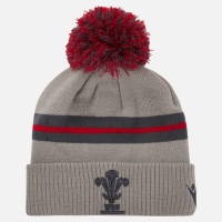 22-23 WRU륺饰ӡ ݥݥӡˡ