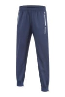 IBIS ������ɥ֥쥤�����ѥ��