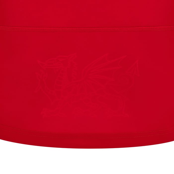 正規品★海外XL★レプリカ★ウェールズ ラグビージャージ シーズン24／25 正規品☆海外XL☆レプリカ☆ウェールズ ラグビージャージ