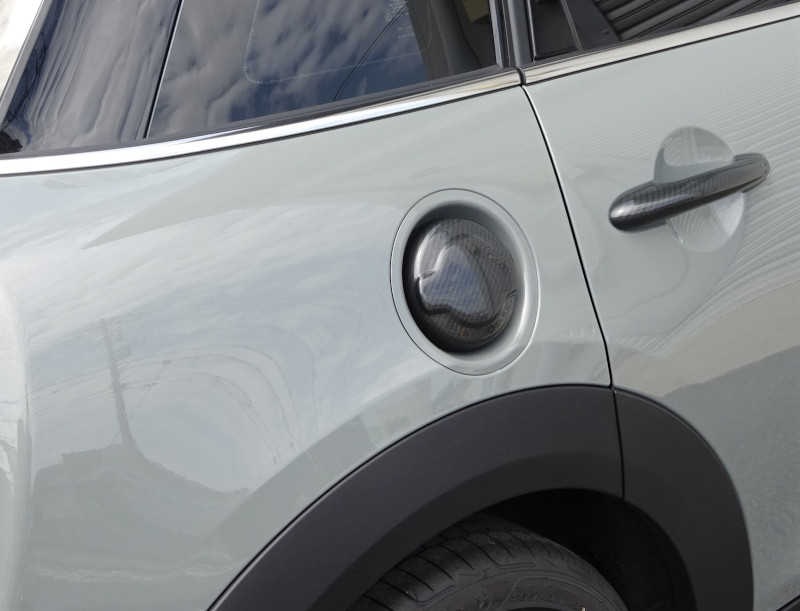 MINI(F55)�����ѡ��ӡ�F-LID���С�