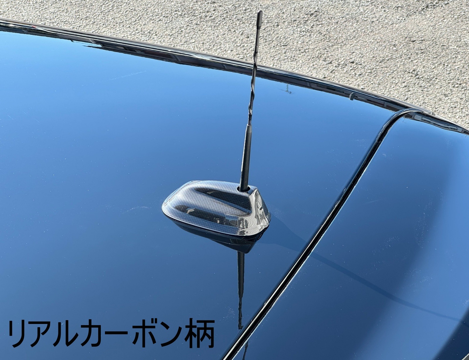 MINI(F66)�롼�ե���ƥʥ��С�
