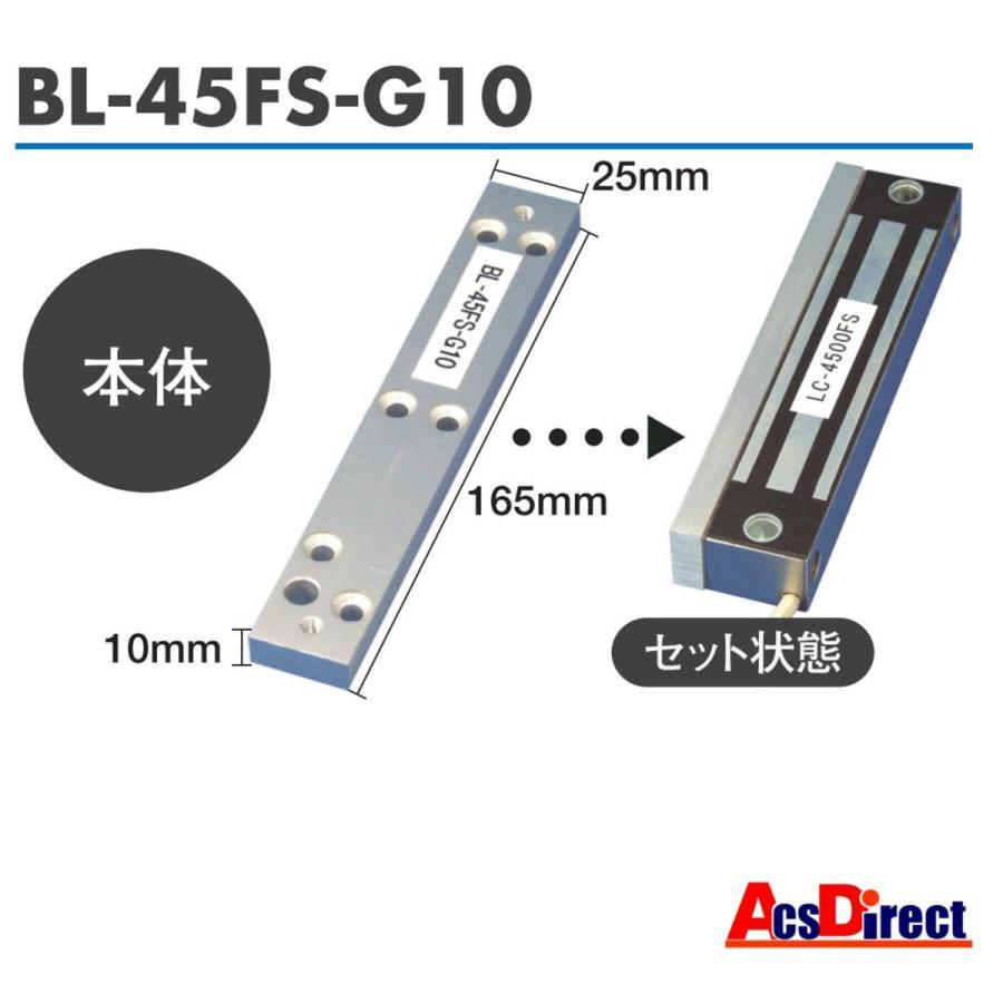 安心システム 外開き B セット販売 コスパ重視 可動部が無いから長寿命 電磁石式電気錠 屋外門扉にも使用可 スタンドアロン