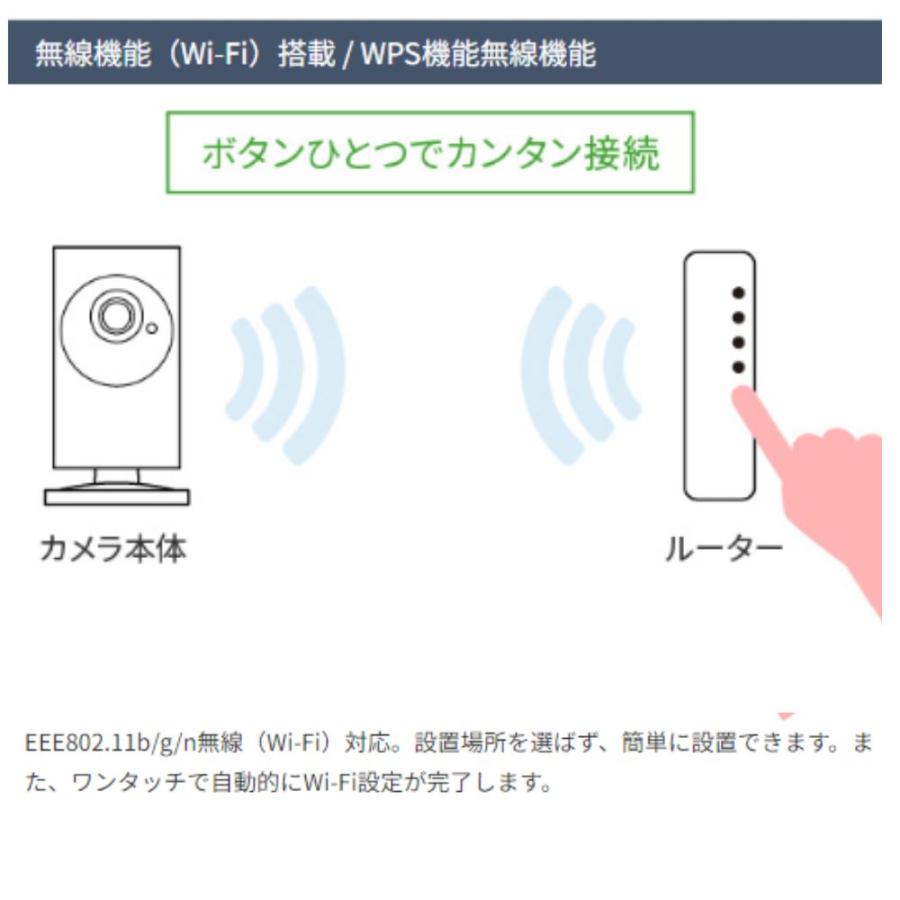 SLD-09R ワイドアングル フルHD 　IPネットワークカメラ　（200万画素）