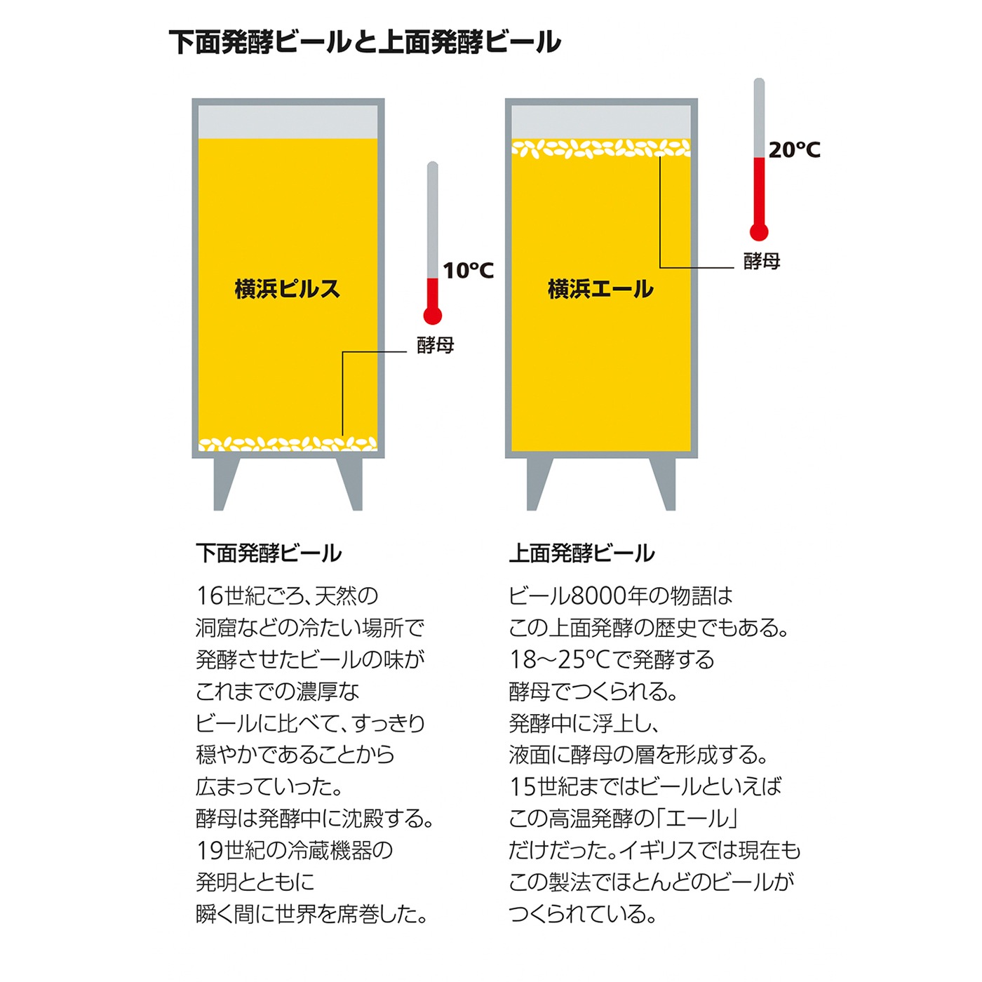 横浜ピルス