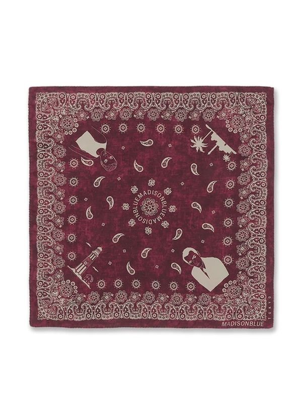 GRAPHIC PAISLEY SCARF LARGE