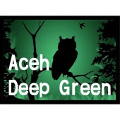 5/1 ޥǥ󡦥ǥס꡼23/24