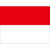 5/1 ޥǥ󡦥ȥ󡦥꡼󥲥åNewcrop24/25