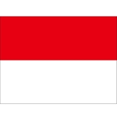 5/1 ɥͥ饦硦ȥ饸㡡24/25