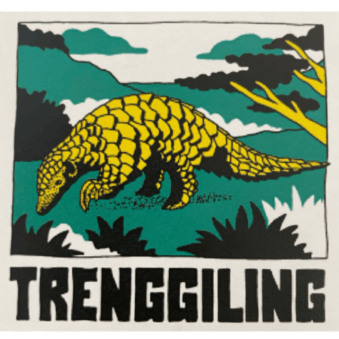 9/1 ɥͥޥǥ󡦥ȥ󥸥󥰡24/25