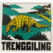 9/1 ɥͥޥǥ󡦥ȥ󥸥󥰡24/25