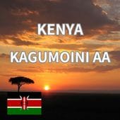 ˥󥬡⥤ AAFully Washed24/25)