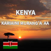 ˥󥬡ꥢ AAFully Washed24/25)