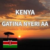 ˥˥ꡦƥ ABFully Washed24/25)