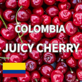 ������ӥ������塼���������꡼������ե塼������ˡ  24/25���ڥޥɥ���������