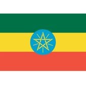 8/1ԥ륬եWorkaG1Washed