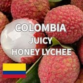 ������ӥ������塼�������ϥˡ��饤��������ե塼������ˡ  24/25