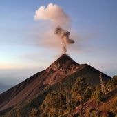 ƥޥ顦ƥȥ󡦥ɥ˥ Fully Washed 24/25