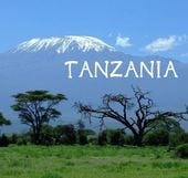 󥶥˥󥴥󥴥ҥ륺ѥޥʼ New crop 2/2