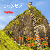 ������ ������ӥ����ȥ�ޡ��������˥å����ǥ��ե�  crop24/25