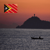 ��ƥ��⡼�롡�����ޥ��ȹ� Washed��25/26