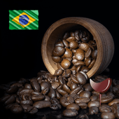 �����ǥ��ե����������˥硦���å���23/24