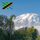 ���󥶥˥������Ρ��ȥåס�24/25