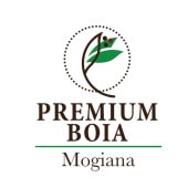 �⥸���ʡ��ץ�ߥ��ࡦ�ܥ��� 25/26