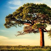 �ڿ����ʡۥ˥��饰�������ƥ��ꥹ�����ࡦ�ѥ��ޥ顦�饤�ॷ�� 24/25