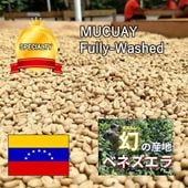 �����λ��ϡ�  �٥ͥ�����͢������ץ���������  �९���������ġ��� Fully Washed (25/26)