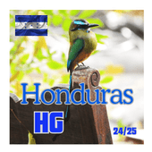 �ۥ󥸥�饹�� HG��Newcrop 24/25 �ڸ��������