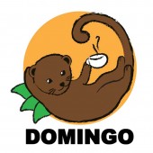 ������ӥ��������顦�ɥߥ󥴡�Fully��Washed��25/26)