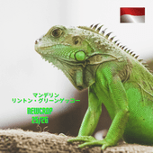 �ޥ�ǥ�󡦥��ȥ󡦥��꡼�󥲥å�����Newcrop25/26