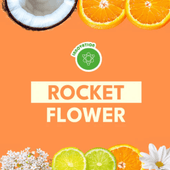 ������ӥ��������åȥե�  24/25