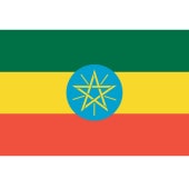 3��� �������ԥ������륬�����ե��� WOTE G1  Washed 24/25��