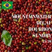 �֥�ܥ�ŷ������ǥ��ե���25/26��