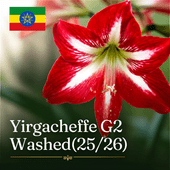 8/24~ �������ԥ������륬�����ե�G2 Washed  25/26
