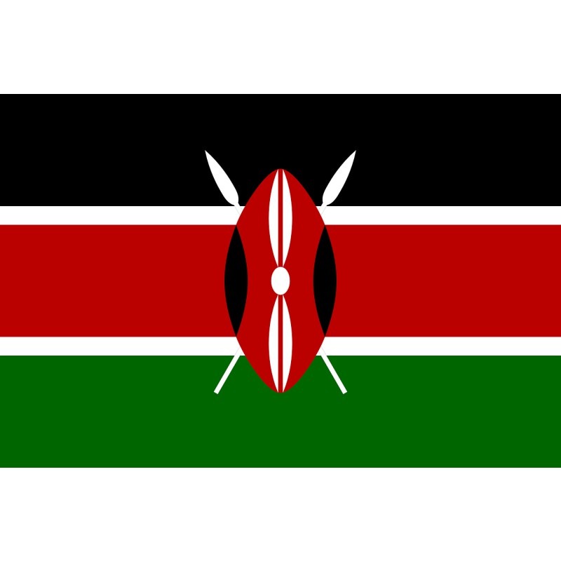 ���˥������󥬡������⥤�� AA��Fully Washed��24/25)����