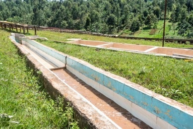 ���˥������󥬡������⥤�� AA��Fully Washed��24/25)����