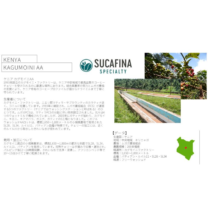 ���˥������󥬡������⥤�� AA��Fully Washed��24/25)����