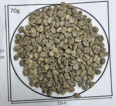 ���˥������󥬡������⥤�� AA��Fully Washed��24/25)����