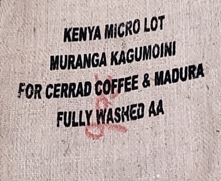 ���˥������󥬡������⥤�� AA��Fully Washed��24/25)����