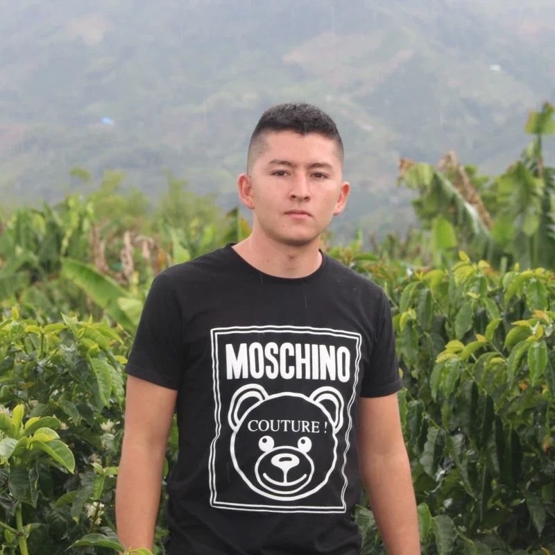 ������ӥ������塼���������꡼������ե塼������ˡ  24/25���ڥޥɥ���������